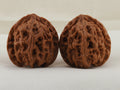 Apple Orchard walnut pair, 37 mm — WW-00018, hero view.