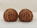 Palace Lantern walnut pair, 40 mm — WW-00022, hero view.