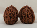 Great Thorn walnut pair, 42 mm — WW-00025, hero view.