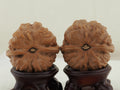 Toad Head Dragon Toad Carved Walnut Pair — 44.0 mm (Long Chan Ha Ma Tou) — Carved pair three-quarter view — WW-00048