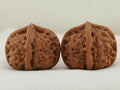 Jade Seal Four Ridge Walnut Pair — 44.0 mm (Yu Xi Si Leng) — Front view — WW-00050