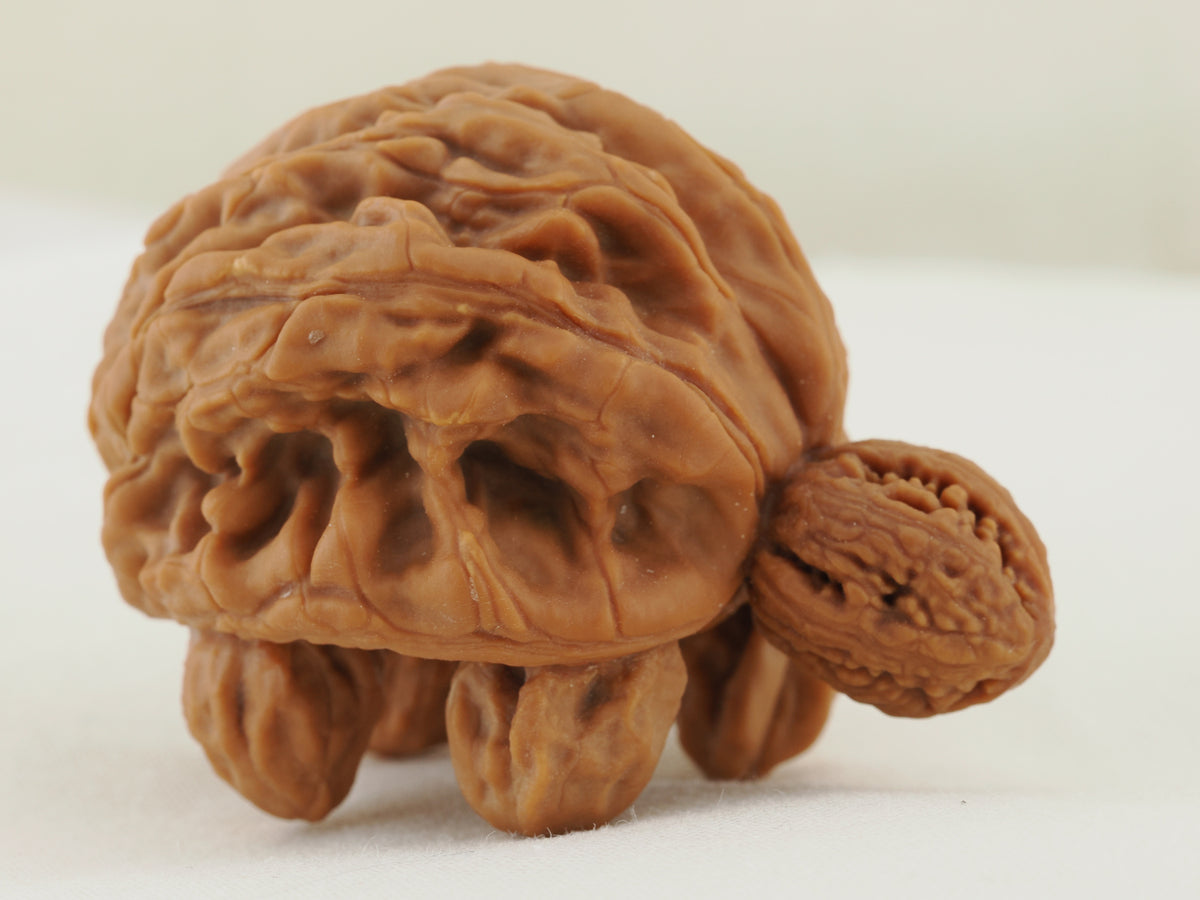 Turtle (Snakehead walnut) Handheld Object — 52.0 mm (She Tou Wu Gui) — Front three-quarter view — OB-00001