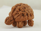 Turtle (Snakehead walnut) Handheld Object — 52.0 mm (She Tou Wu Gui) — Opposite three-quarter view — OB-00001