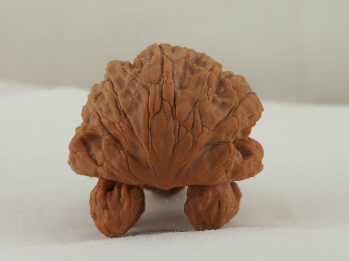 Turtle (Snakehead walnut) Handheld Object — 52.0 mm (She Tou Wu Gui) — Rear view — OB-00001