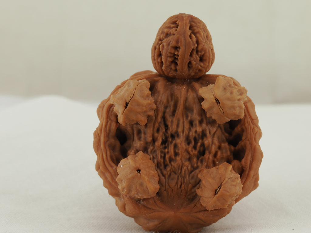 Turtle (Snakehead walnut) Handheld Object — 52.0 mm (She Tou Wu Gui) — Underside view — OB-00001