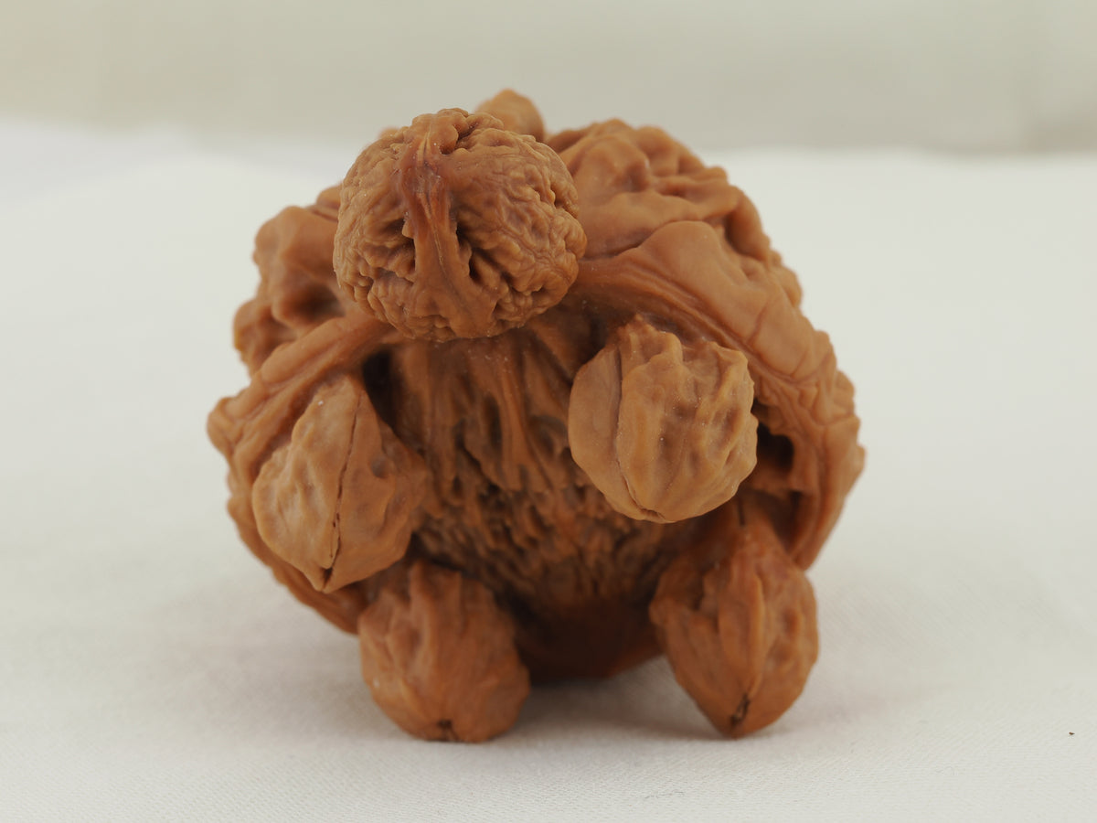 Turtle (Snakehead walnut) Handheld Object — 52.0 mm (She Tou Wu Gui) — Underside detail — OB-00001