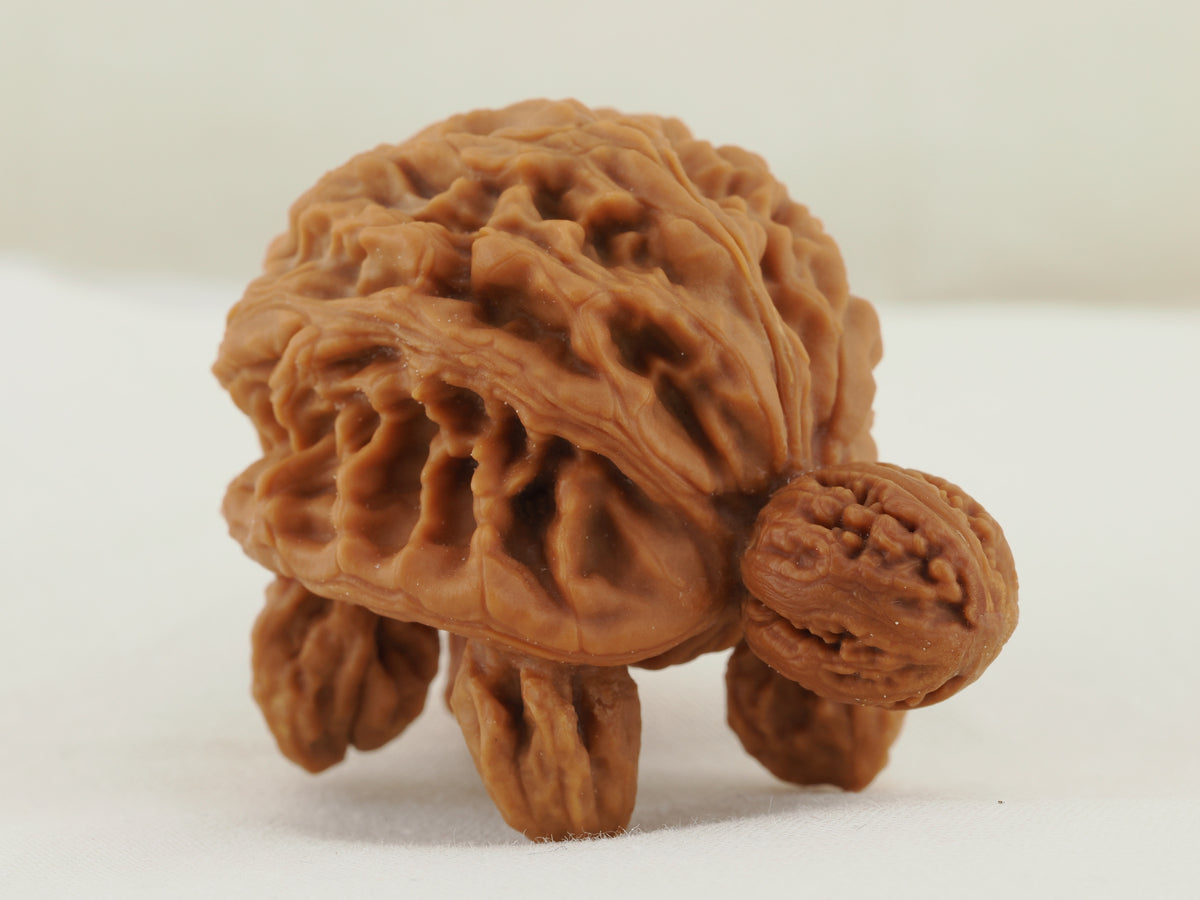 Turtle (Snakehead walnut) Handheld Object — 52.0 mm (She Tou Wu Gui) — Front three-quarter view — OB-00002