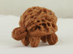 Turtle (Snakehead walnut) Handheld Object — 52.0 mm (She Tou Wu Gui) — Opposite three-quarter view — OB-00002