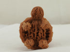 Turtle (Snakehead walnut) Handheld Object — 52.0 mm (She Tou Wu Gui) — Underside view — OB-00002
