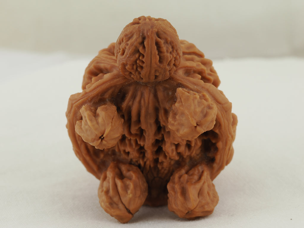 Turtle (Snakehead walnut) Handheld Object — 52.0 mm (She Tou Wu Gui) — Underside detail — OB-00002