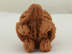 Turtle (Snakehead walnut) Handheld Object — 52.0 mm (She Tou Wu Gui) — Underside detail — OB-00002