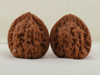 Golden Toad King walnut pair, 40 mm — WW-00002, hero view.