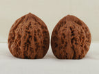 Golden Toad King walnut pair, 40 mm — WW-00002, view 3.