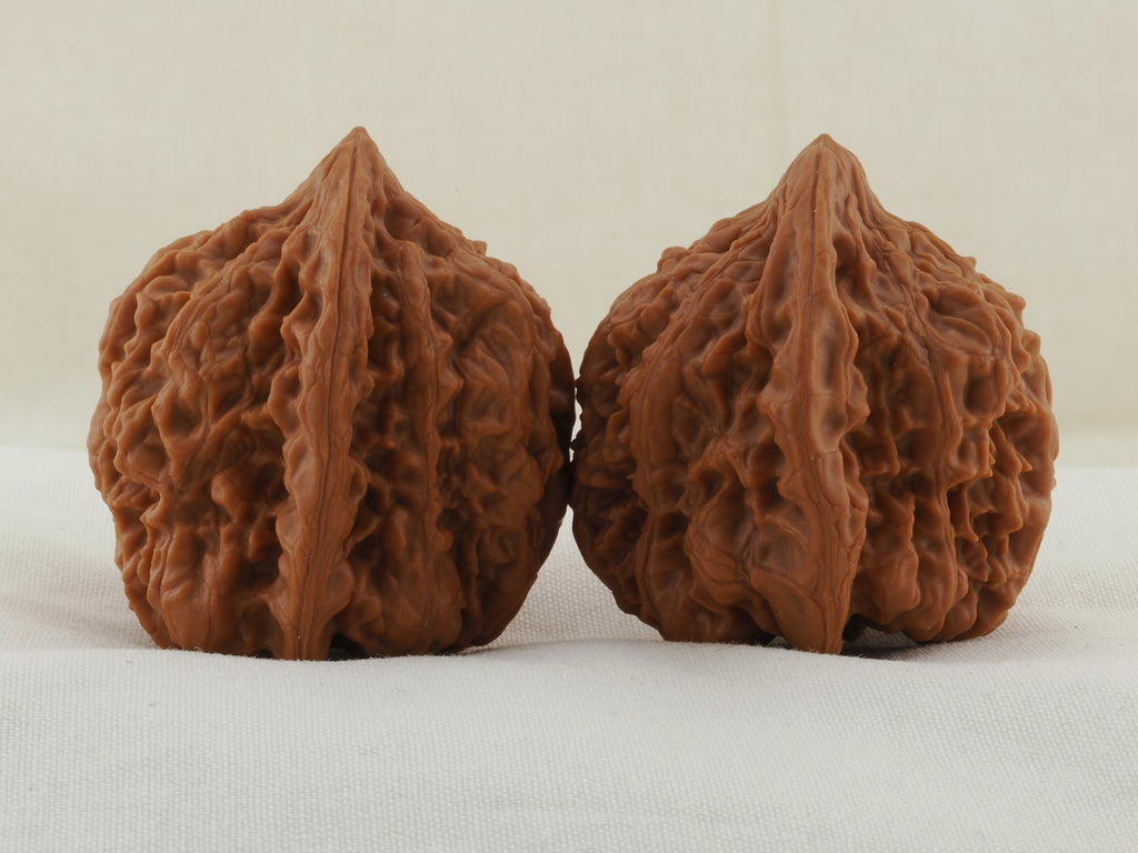 Golden Toad King walnut pair, 40 mm — WW-00002, view 4.