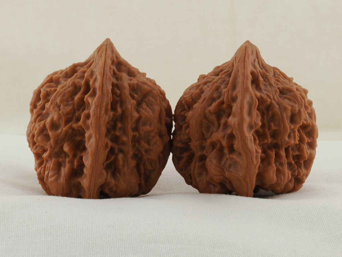 Golden Toad King walnut pair, 40 mm — WW-00002, view 4.