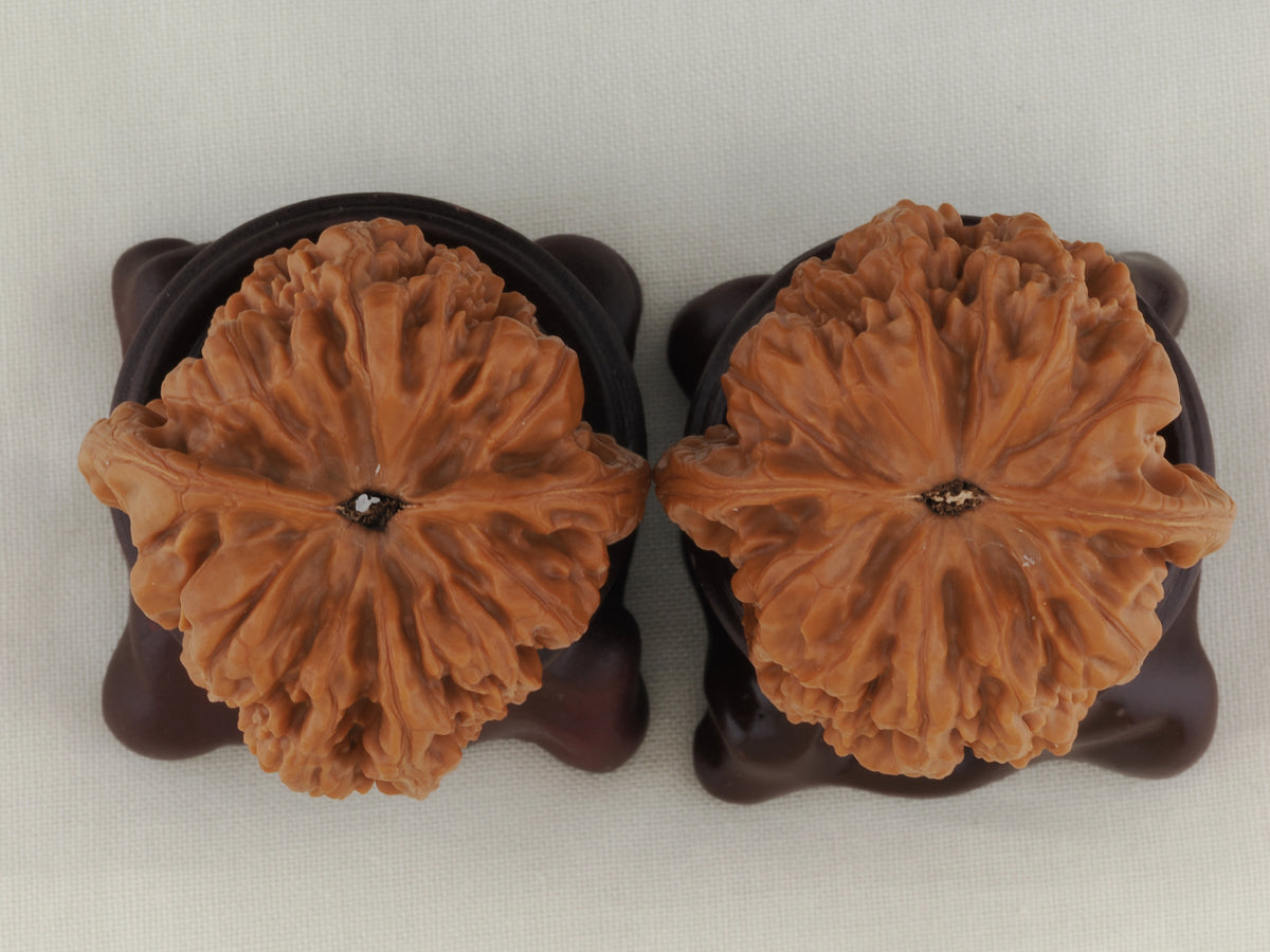 Golden Toad King walnut pair, 40 mm — WW-00002, view 5.