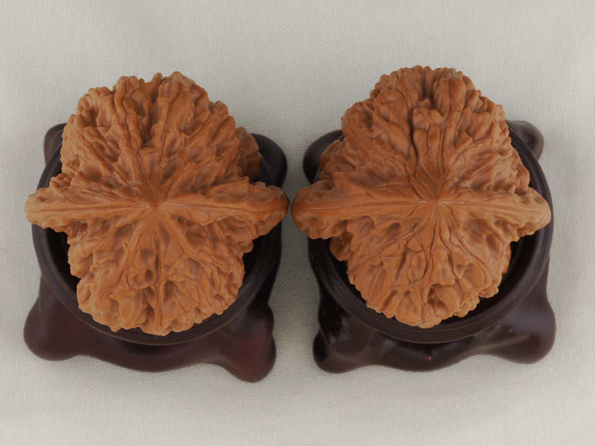 Golden Toad King walnut pair, 40 mm — WW-00002, view 6.