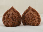 Vermilion Bird walnut pair, 41 mm — WW-00003, hero view.