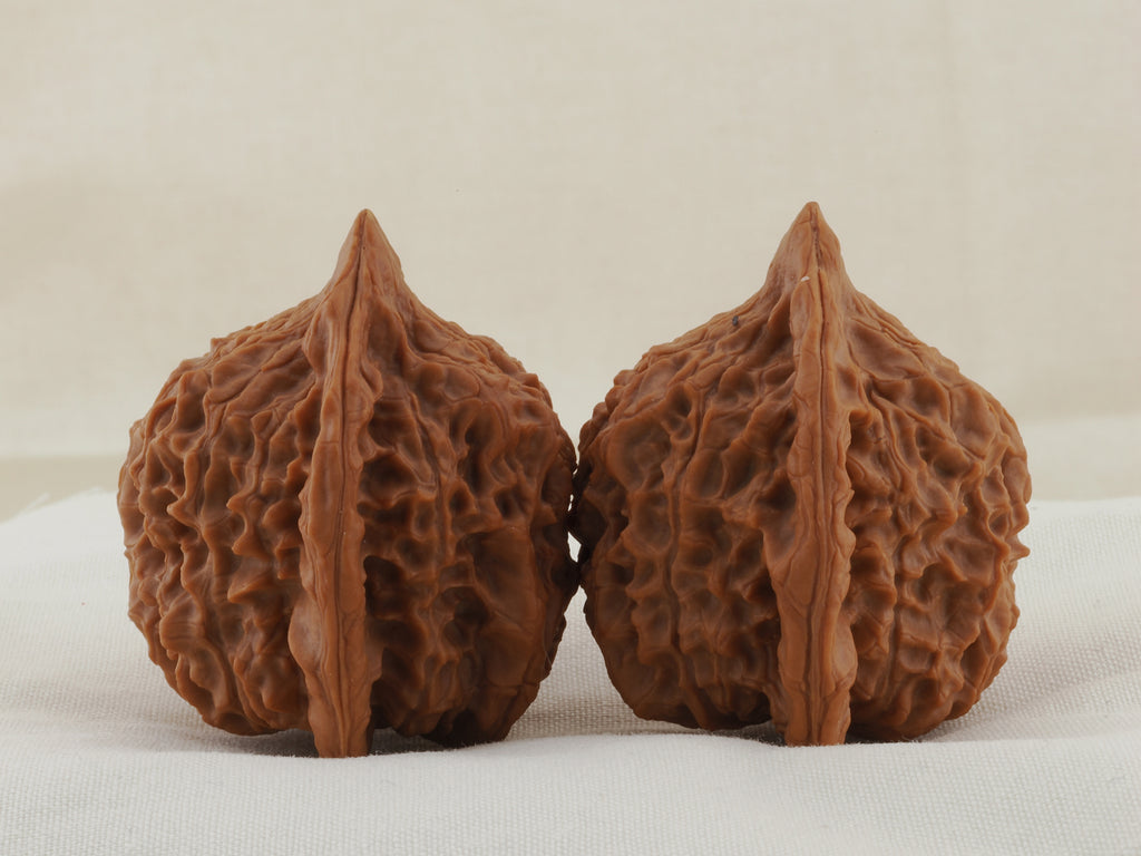 Vermilion Bird walnut pair, 41 mm — WW-00003, view 2.