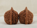 Vermilion Bird walnut pair, 41 mm — WW-00003, view 2.