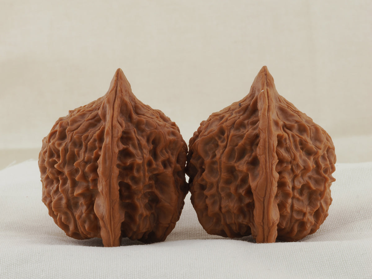 Vermilion Bird walnut pair, 41 mm — WW-00003, view 2.