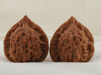 Vermilion Bird walnut pair, 41 mm — WW-00003, view 3.