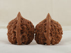 Vermilion Bird walnut pair, 41 mm — WW-00003, view 4.