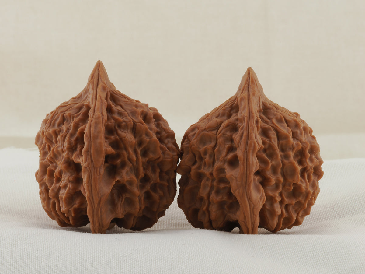 Vermilion Bird walnut pair, 41 mm — WW-00003, view 4.