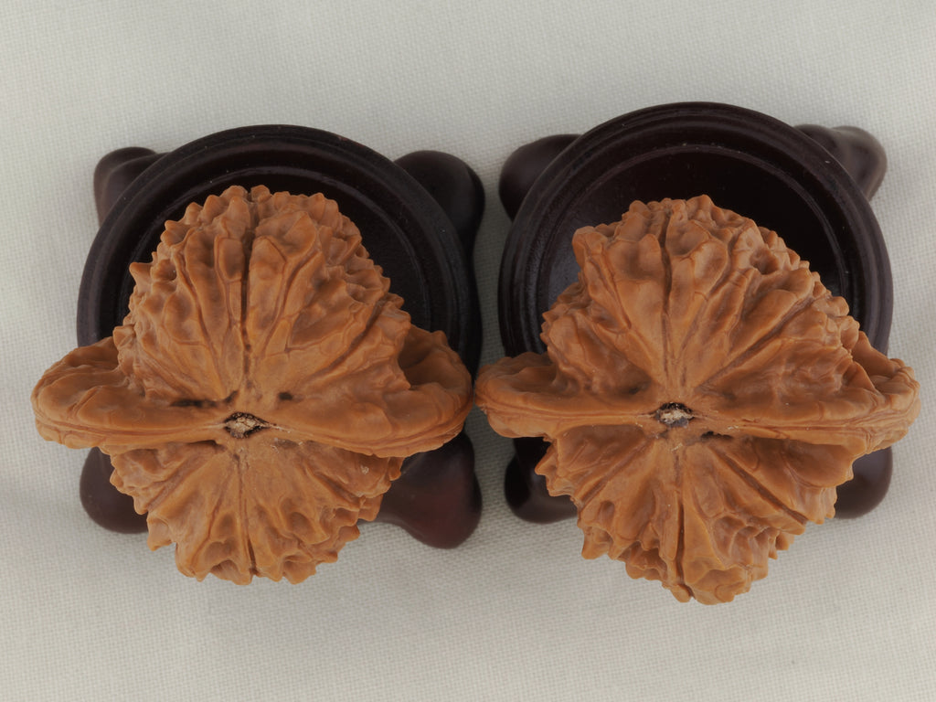 Vermilion Bird walnut pair, 41 mm — WW-00003, view 6.