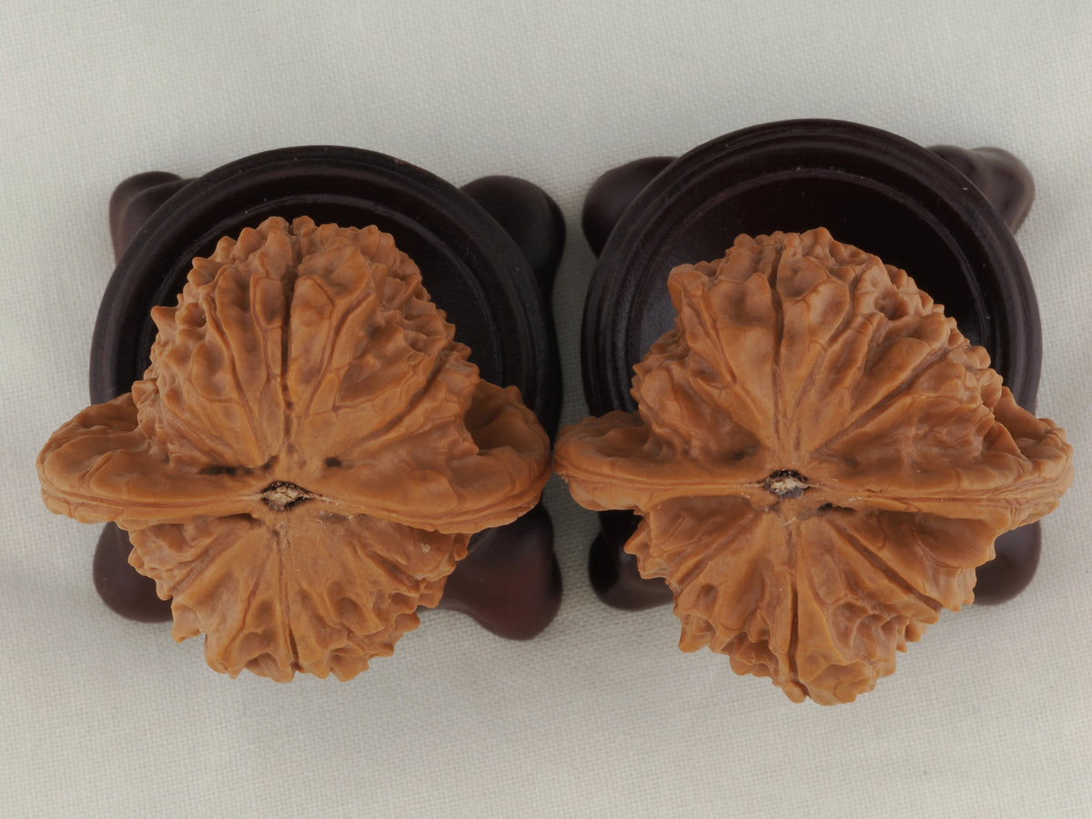Vermilion Bird walnut pair, 41 mm — WW-00003, view 6.