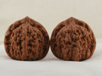 Official’s Hat walnut pair, 48 mm — WW-00004, hero view.