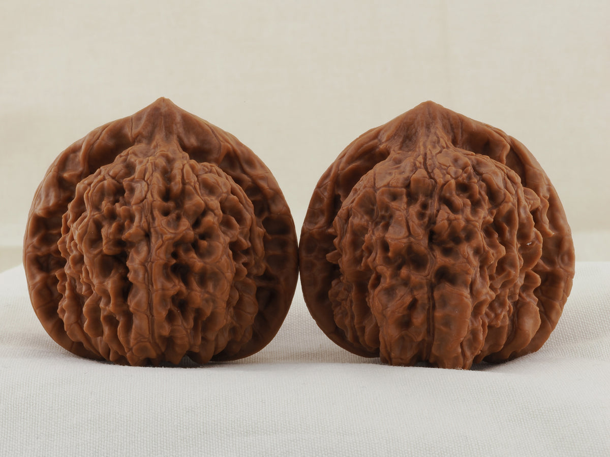 Official’s Hat walnut pair, 48 mm — WW-00004, hero view.