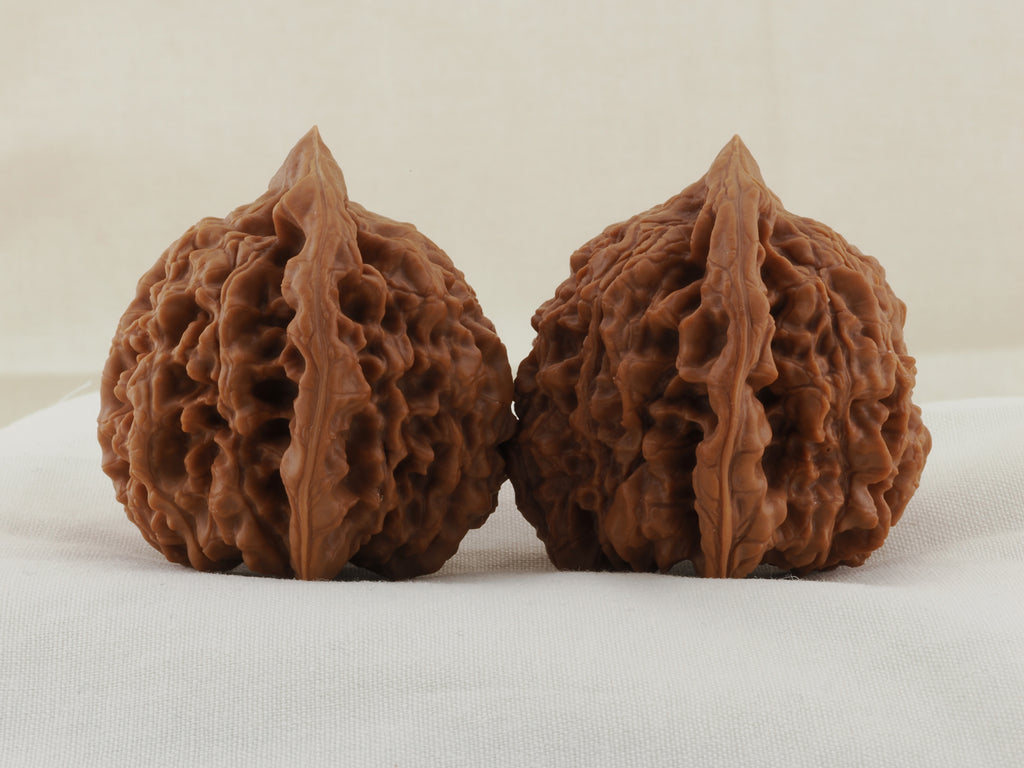 Official’s Hat walnut pair, 48 mm — WW-00004, view 2.