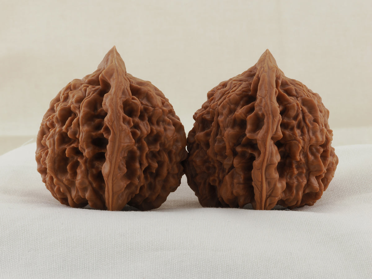 Official’s Hat walnut pair, 48 mm — WW-00004, view 2.