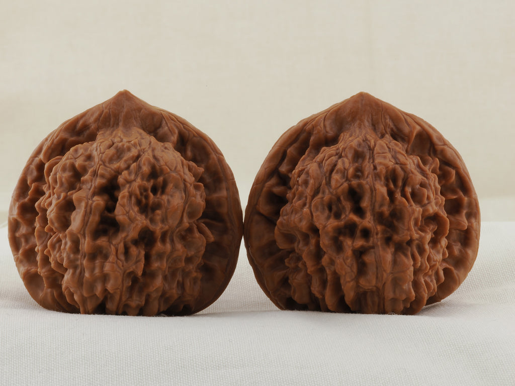 Official’s Hat walnut pair, 48 mm — WW-00004, view 3.