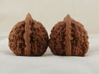 Official’s Hat walnut pair, 48 mm — WW-00004, view 4.