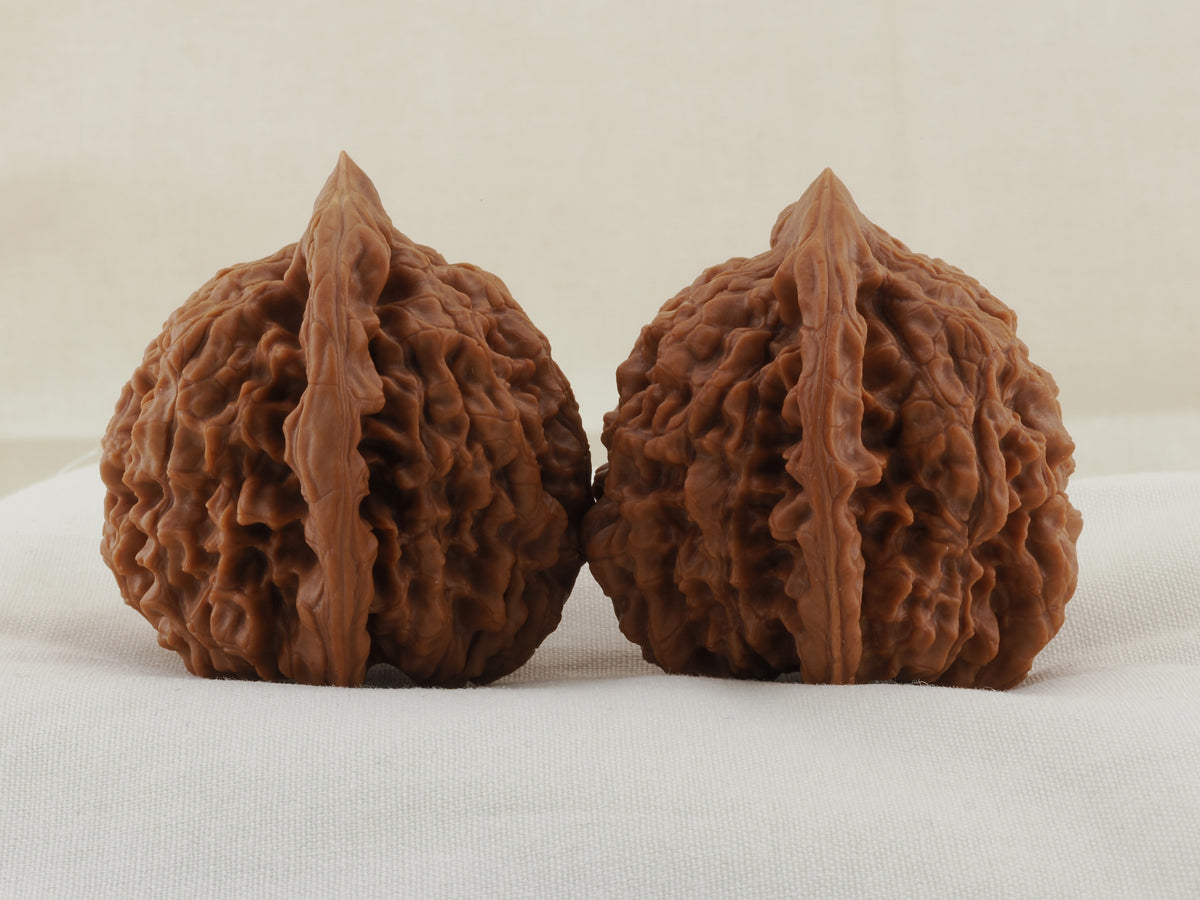 Official’s Hat walnut pair, 48 mm — WW-00004, view 4.