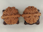 Official’s Hat walnut pair, 48 mm — WW-00004, view 5.