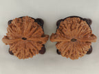 Official’s Hat walnut pair, 48 mm — WW-00004, view 6.