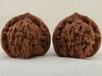 Official’s Hat walnut pair, 50 mm — WW-00005, hero view.