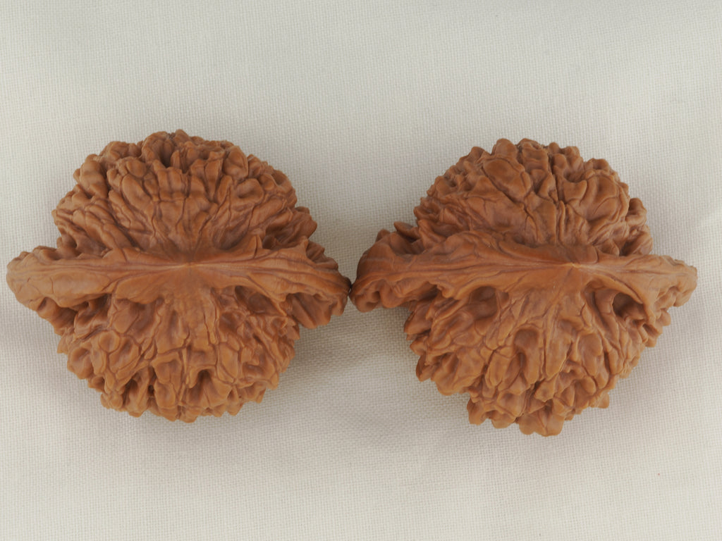 Official’s Hat walnut pair, 50 mm — WW-00005, view 5.
