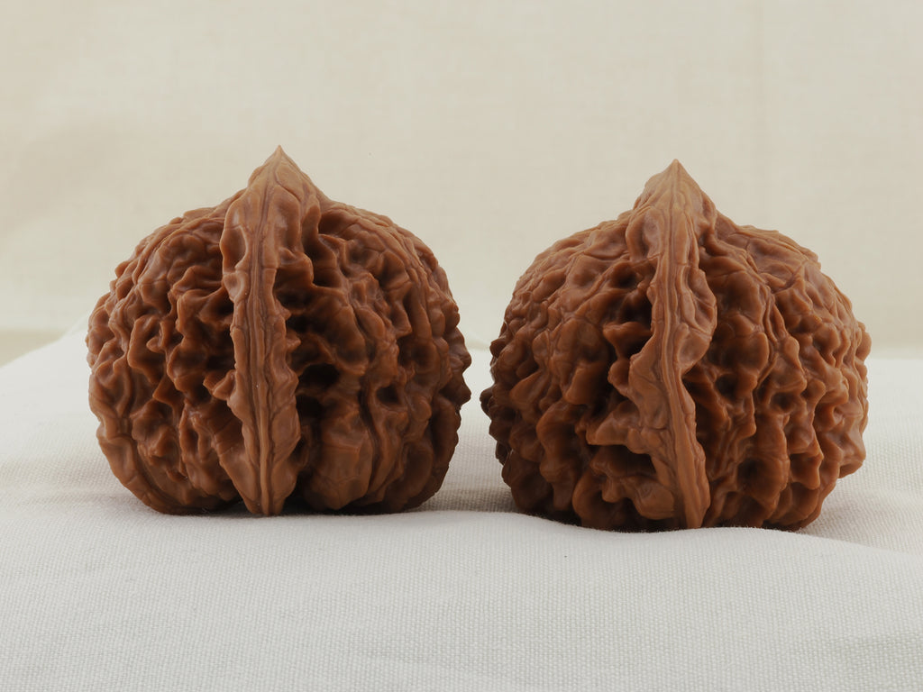 Official’s Hat walnut pair, 47 mm — WW-00006, view 2.