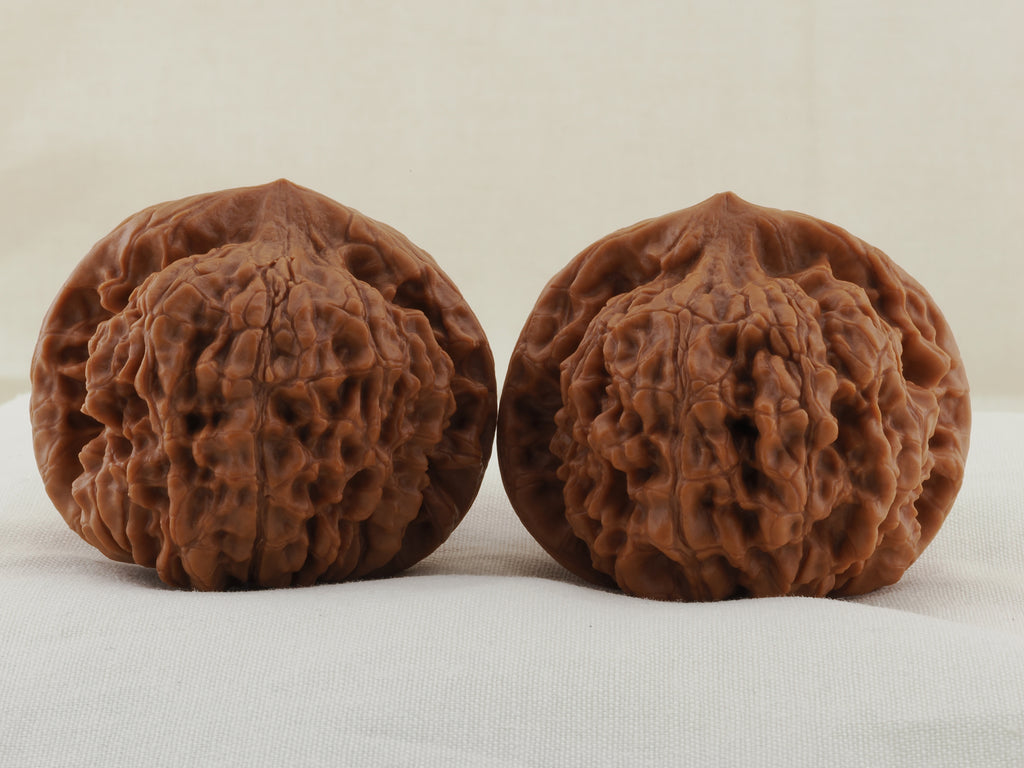 Official’s Hat walnut pair, 47 mm — WW-00006, view 3.