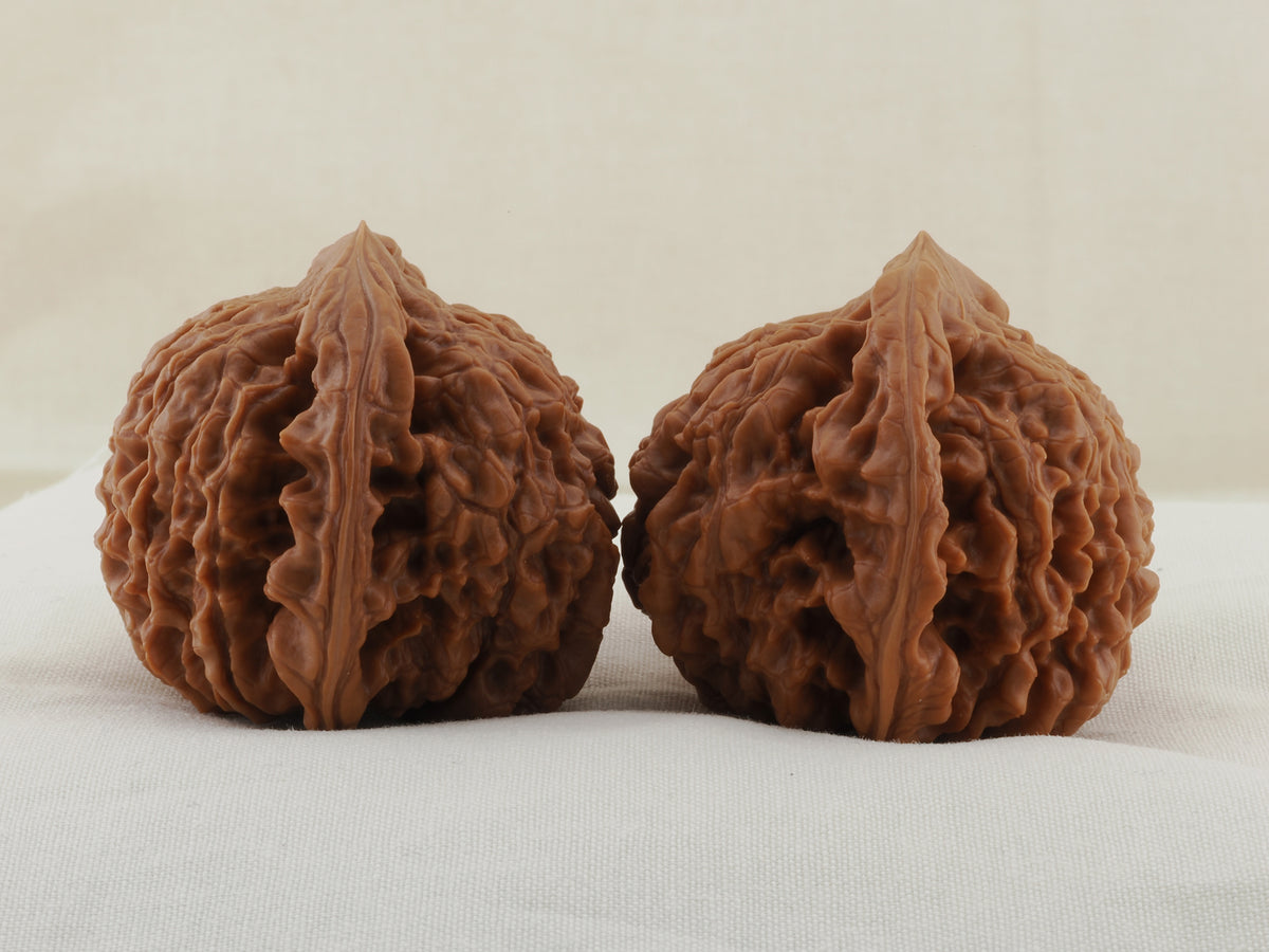 Official’s Hat walnut pair, 47 mm — WW-00006, view 4.