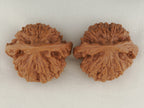 Official’s Hat walnut pair, 47 mm — WW-00006, view 5.
