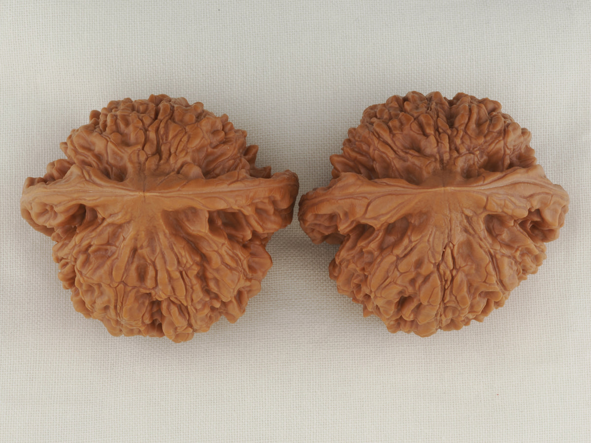 Official’s Hat walnut pair, 47 mm — WW-00006, view 5.