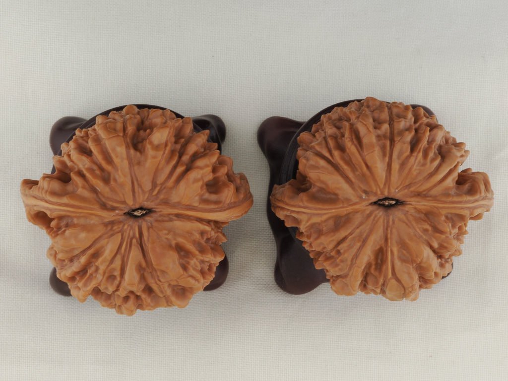 Official’s Hat walnut pair, 47 mm — WW-00006, view 6.