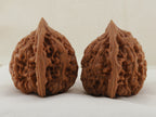 Official’s Hat walnut pair, 45 mm — WW-00007, view 2.
