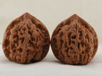 Official’s Hat walnut pair, 45 mm — WW-00007, view 3.