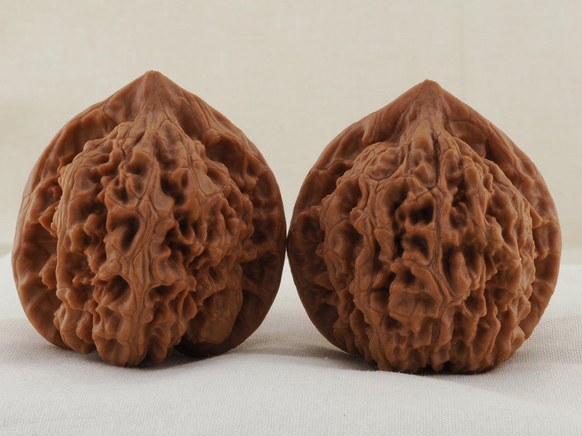 Official’s Hat walnut pair, 45 mm — WW-00007, view 3.